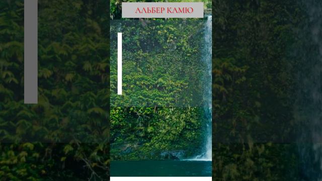 Альбер Камю про поиск счастья