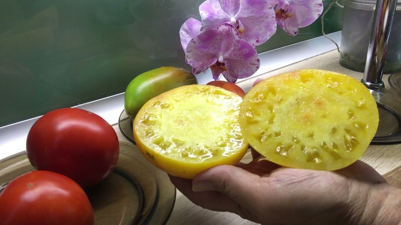 ОБЗОР СОРТОВ ТОМАТОВ 2021 часть 1