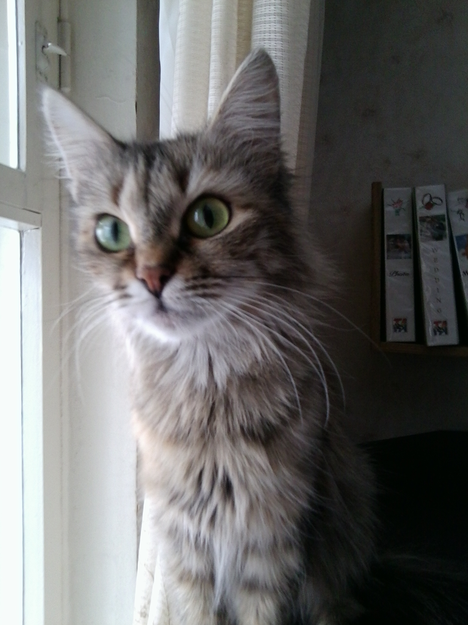 Мое главное сокровище (из серии "НАШ ЗООПАРК)