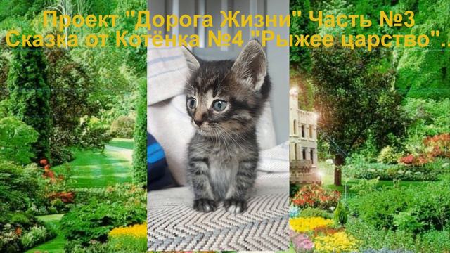 Проект Дорога Жизни Часть 3 Сказка от Котёнка 4 Рыжее царство