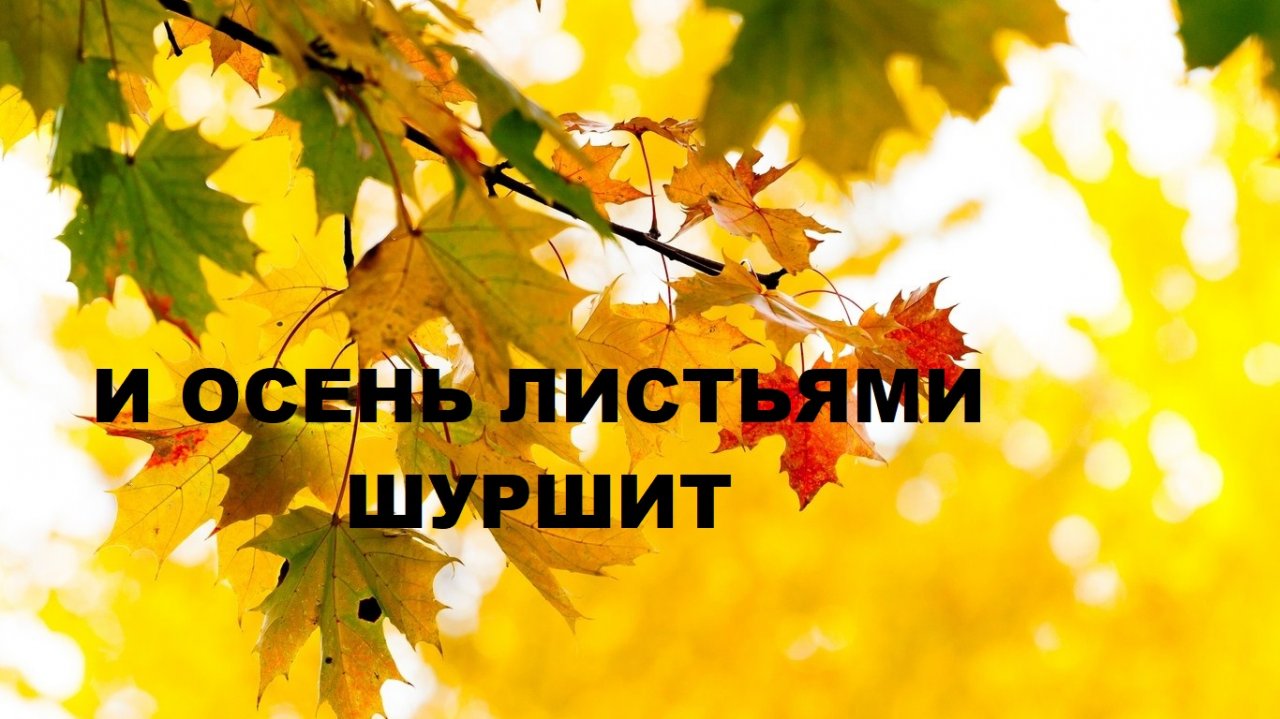 Прикроватный коврик с аппликацией.(2022г)