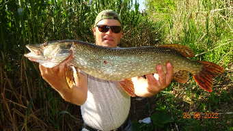 Ловля трофейных щук на прудах.2022..