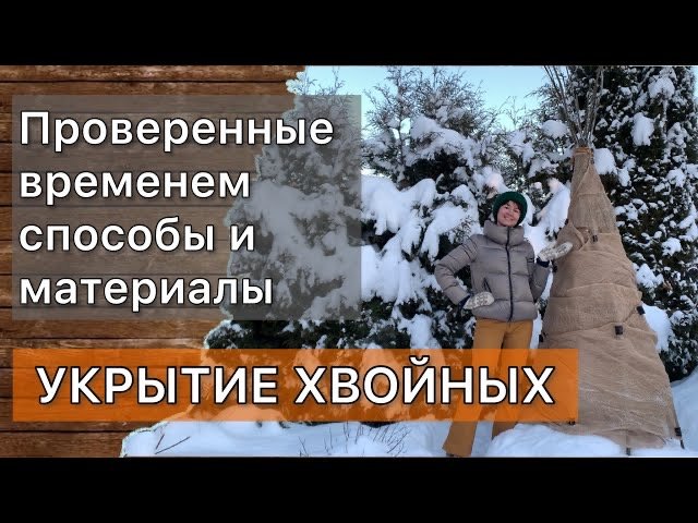 Прогулка по саду| Обзор хвойных с названиями| Ели СОСНЫ Пихты Туи и др| Защита от снега и солнца