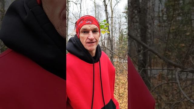 Предложение века ?