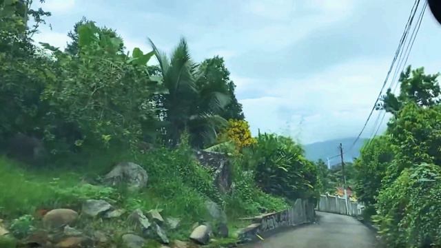 остров Маэ спуск по дороге 1мин.