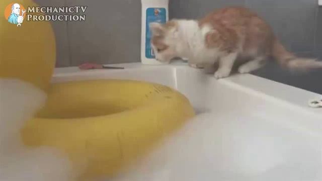 Best Epic Funny Videos 6.mp4