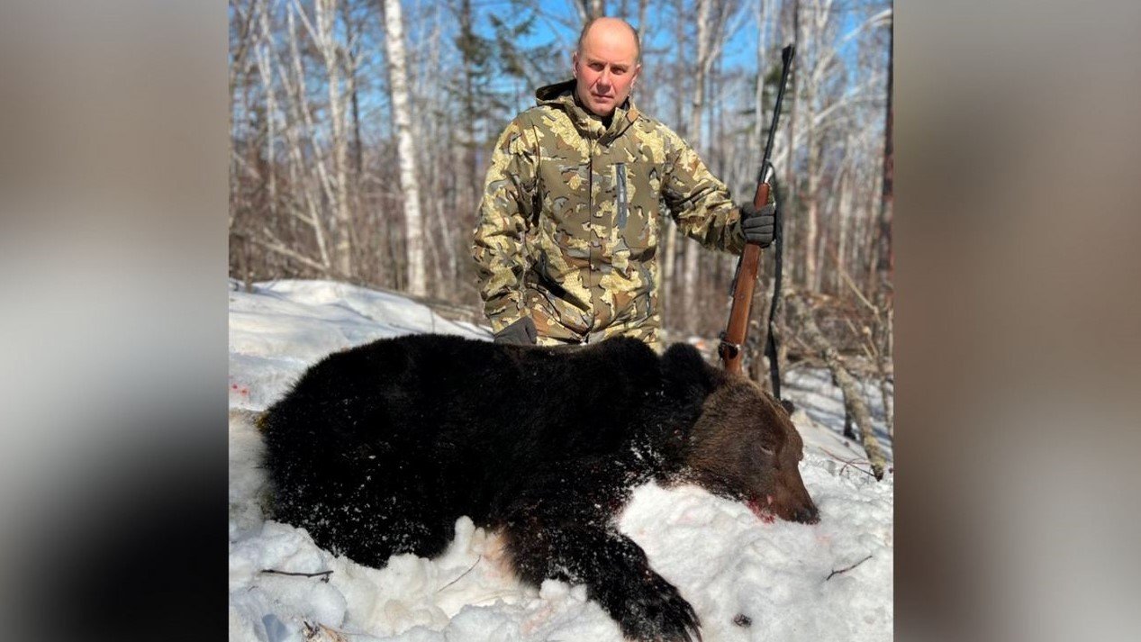 Амурский бурый медведь. Российский Суперкубок.