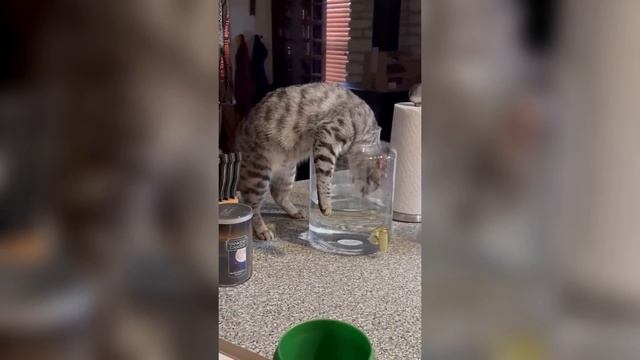 xSektor#Boss 131 - просто люби