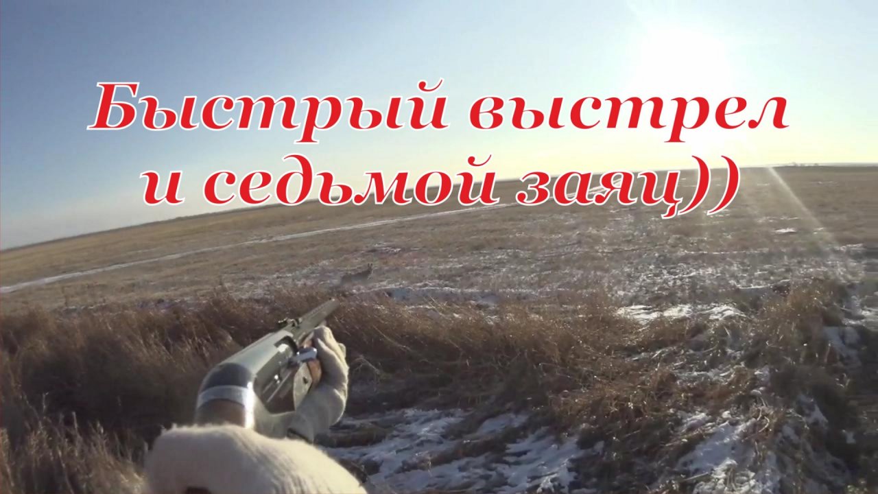 Охота на зайцев - Быстрый подъём и быстрый выстрел
