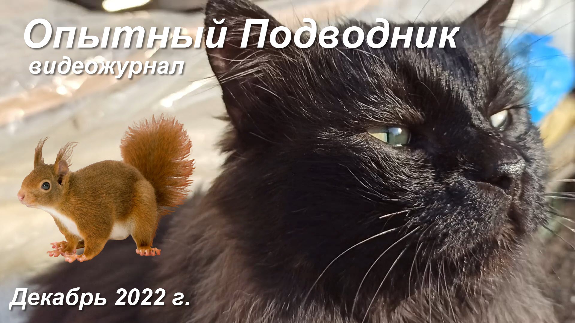 Видеожурнал_Декабрь_2022