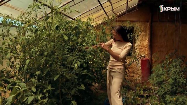 Деревенское счастье Дмитрия Соколова и Екатерины Снегирёвой