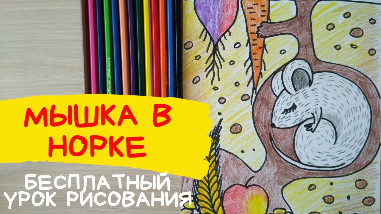 Мышка рисунок. Мышка рисунок для детей. Дом созданный природой. Животные осенью в норах.
