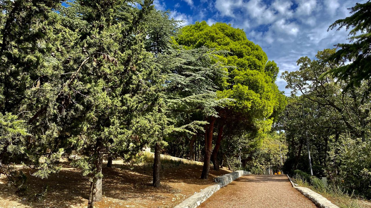 Крым - много моря и красивых моментов.