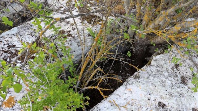 "ВЕСЕННЕЕ НАСТРОЕНИЕ" (Фото из альбома Евгения Бондаренко (Симферополь), муз. Moonlight Regae) wmv