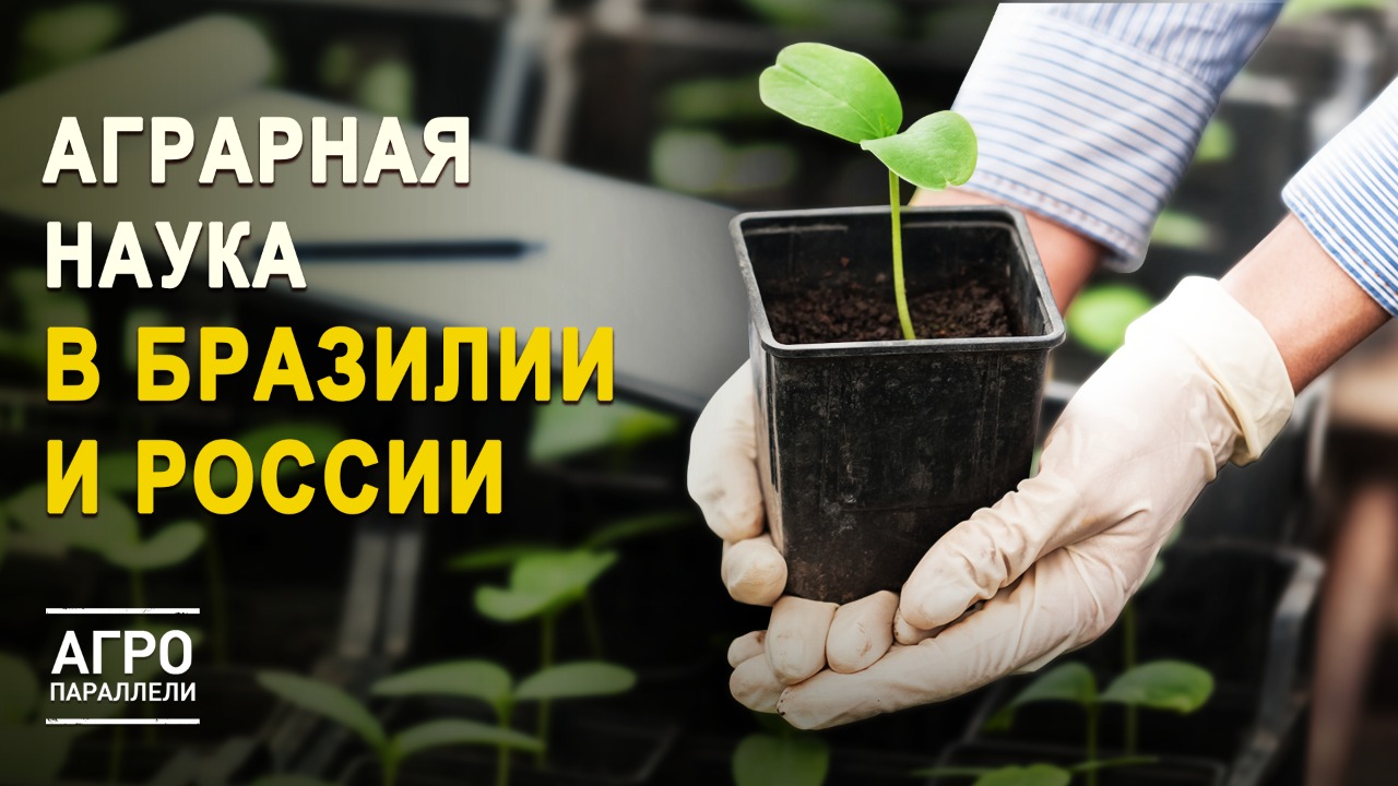 Почему за селекционерами стоит будущее? Агропараллели. Выпуск №7