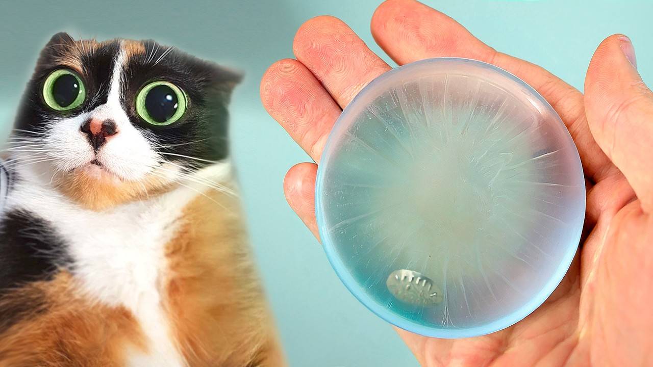 Вот что мы купили на aliexpress