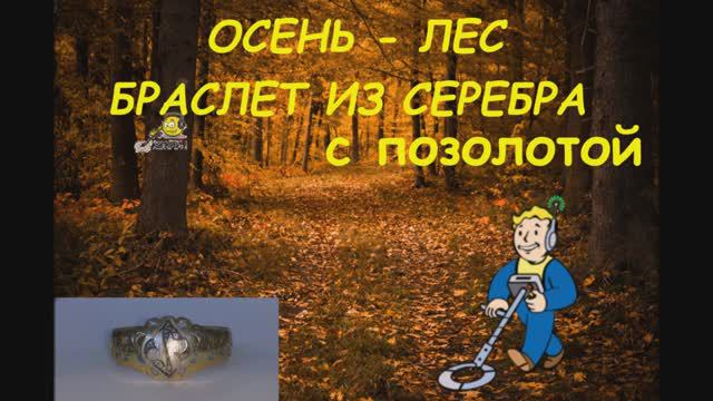 Осень _ Лес _ В Поисках Сокровищ _ Прохор _ GARRETT АТ PRO
