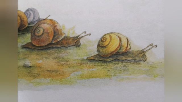 глава 5 Розалия самая медленная улитка в мире