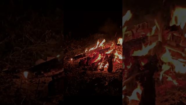 Звуки костра. Природа для отдыха