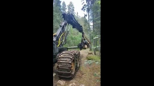 ponsse валка леса