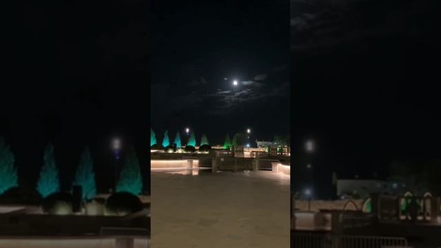 Прогулка ,,под Луной"