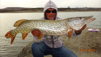 Трофейная-Щука в Марте на живца2020.