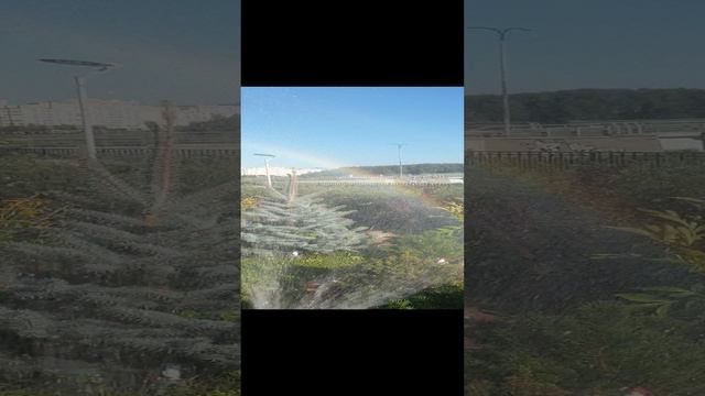 Чудеса своими руками🥰😁😍🤩👍