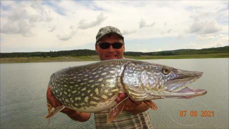 Ловля крупной щуки-на живца.