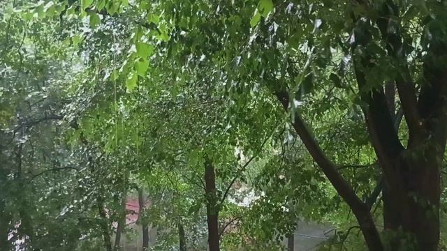 2024 Москва супер мега ливень ураган 20июня