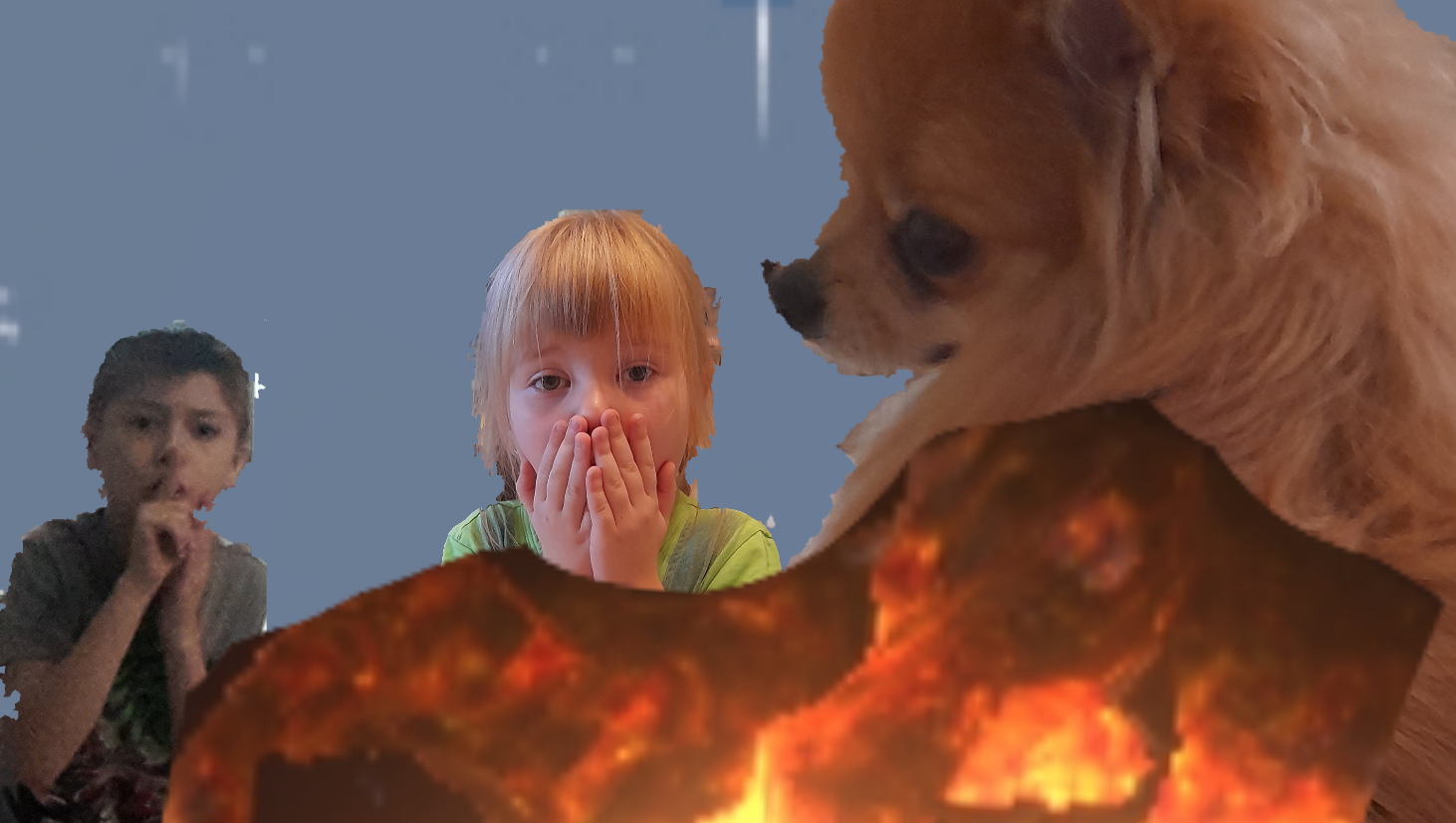 Дрессировка Лайка**Что он делает?**.