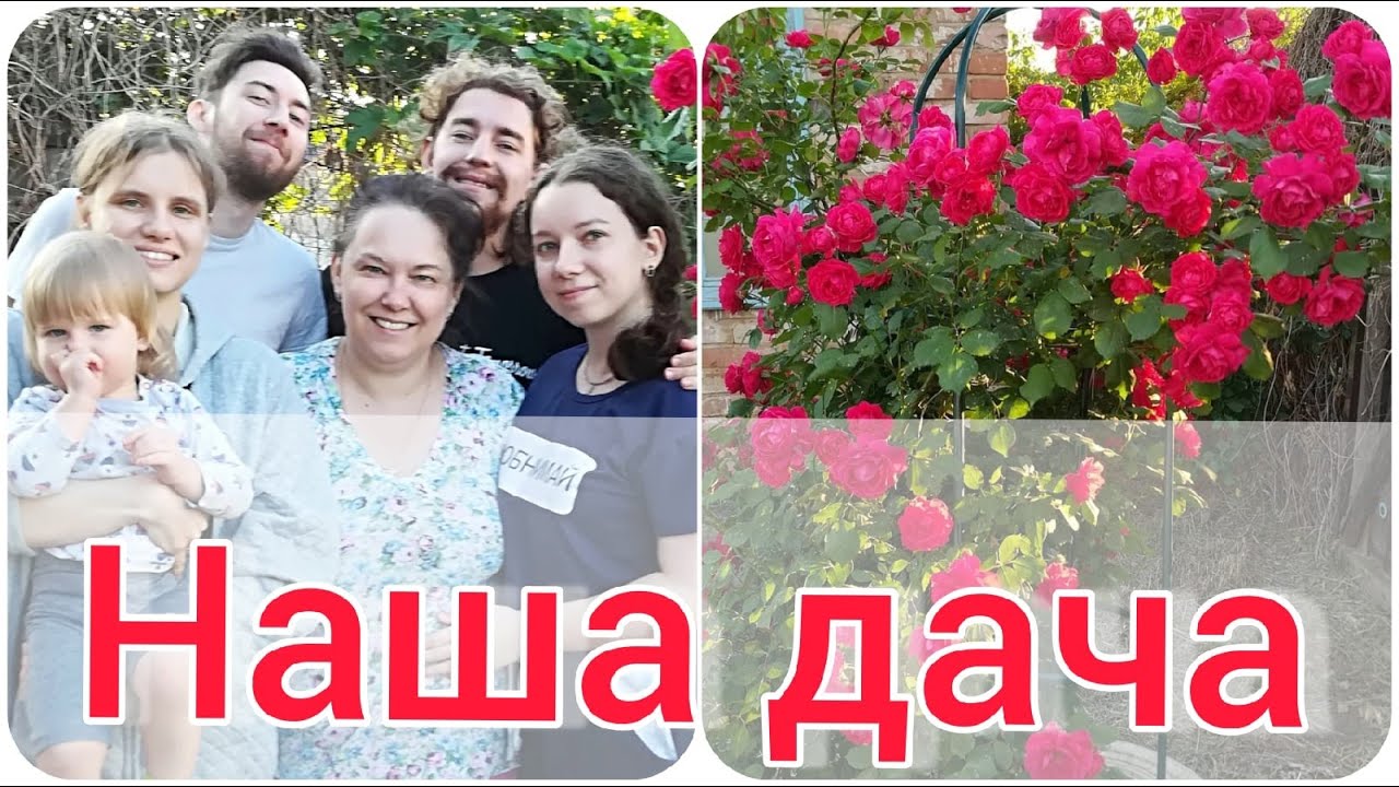 Наша семья. Фото с  дачи, канал "Солнечный цветок" слайд-шоу.