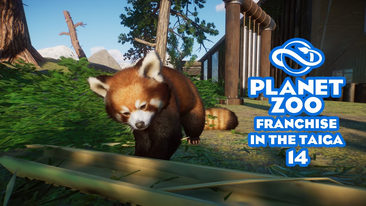Planet Zoo S3 E14 - Маленькие рыжие панды