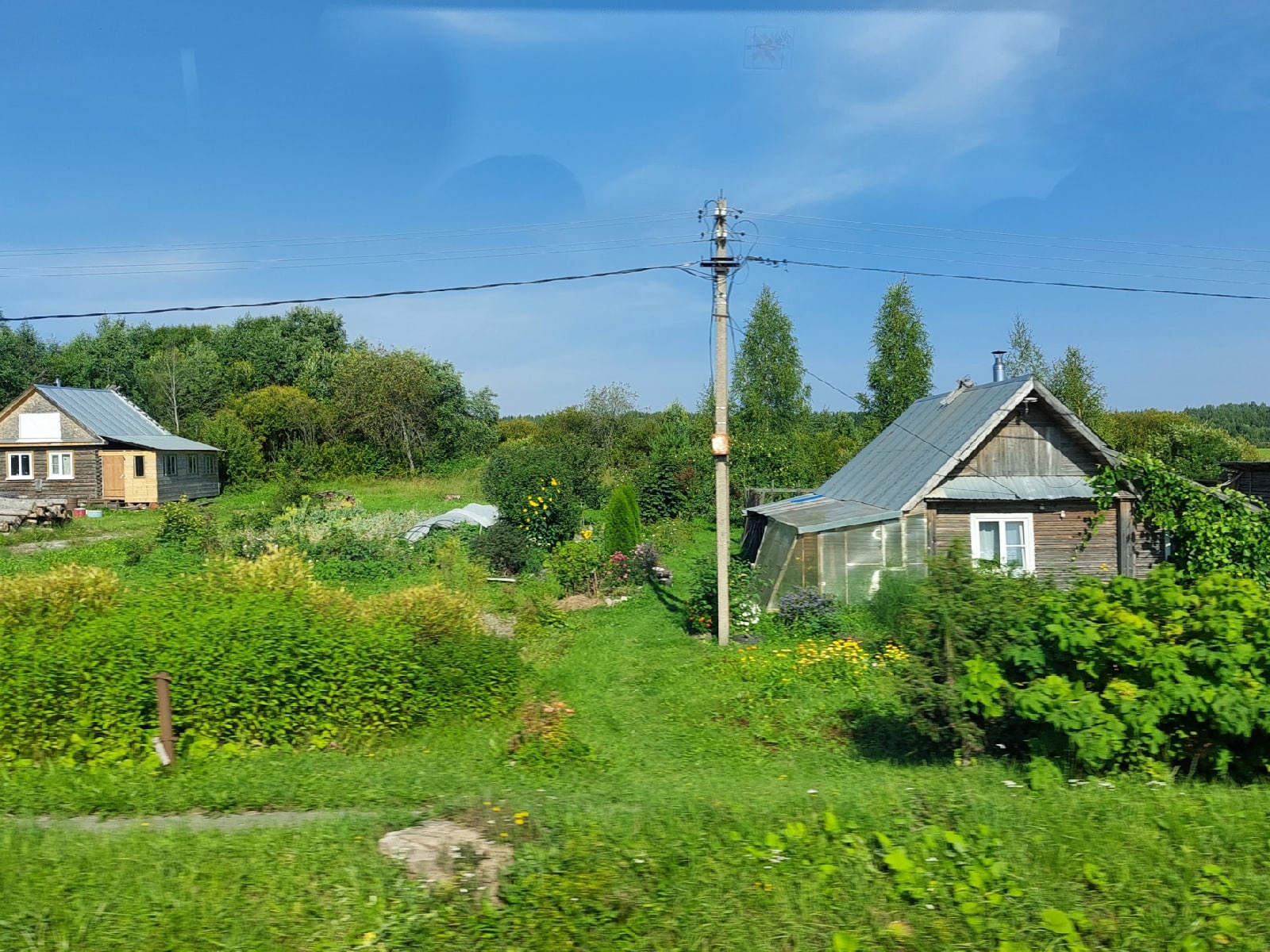 "ОБО ВСЁМ ПО ПОРЯДКУ"... (Фото Лилии Хлебниковой (СПб), музыка - Yuriko Nakamura)