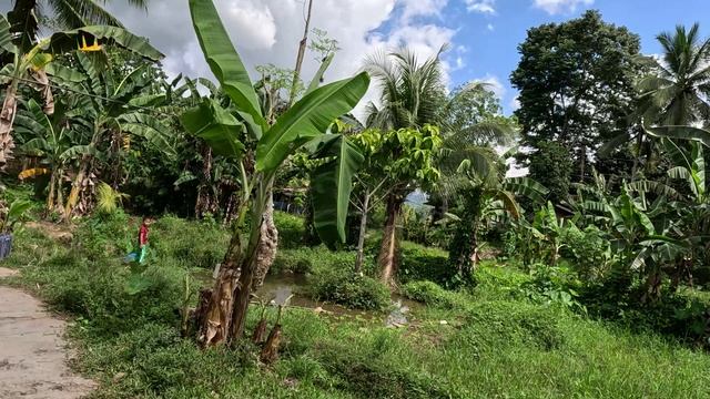ФИЛИППИНСКИЕ БЛЮДА / ВОЗВРАЩАЕМСЯ В ДАВАО ЧЕРЕЗ ДЕРЕВНЮ РОДИТЕЛЕЙ