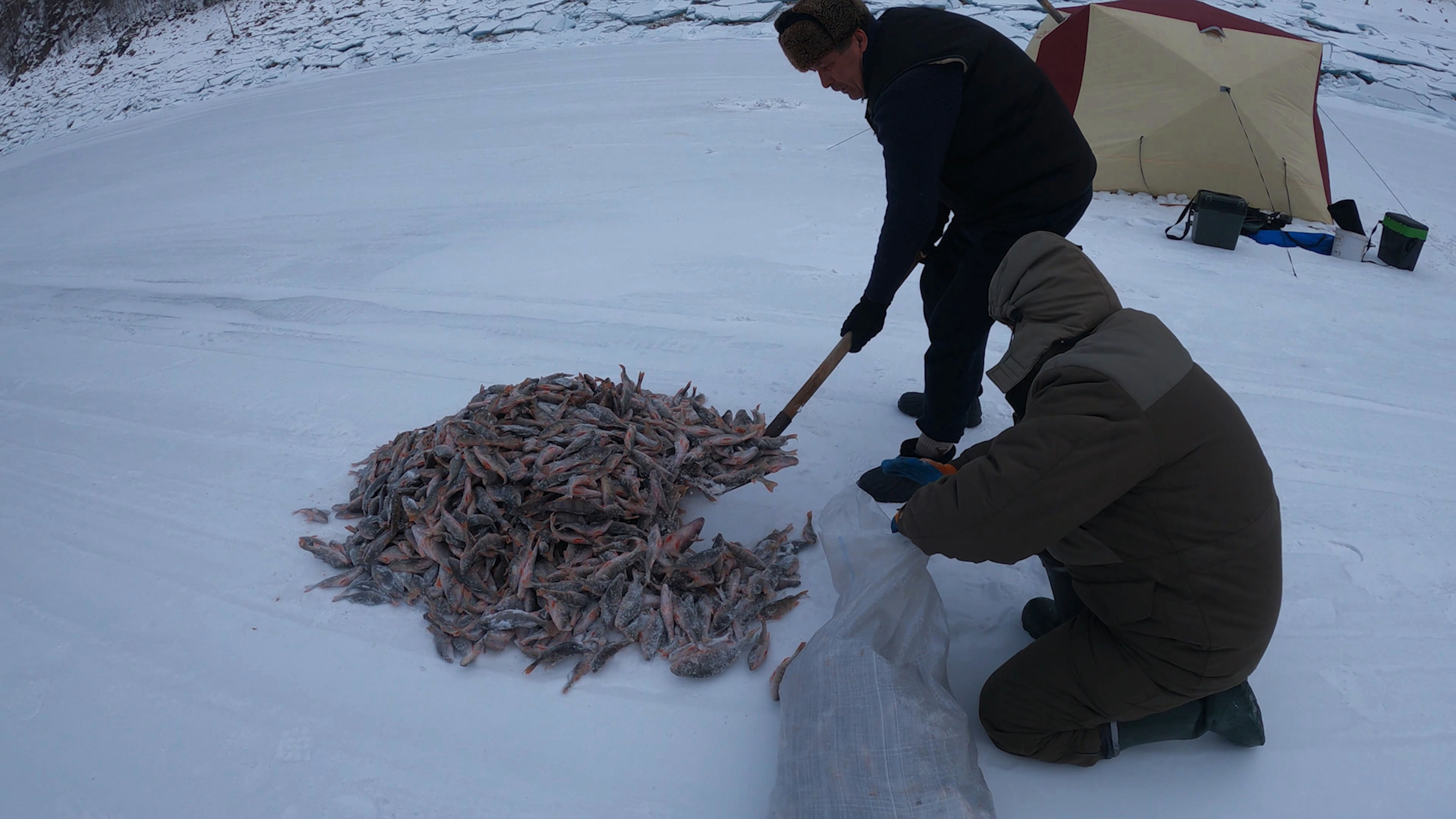 КАНТЕГИРСКАЯ ИСТОРИЯ | МАКАРОНЫ ПО-ФЛОТСКИ ОТ ГЕННАДИЯ