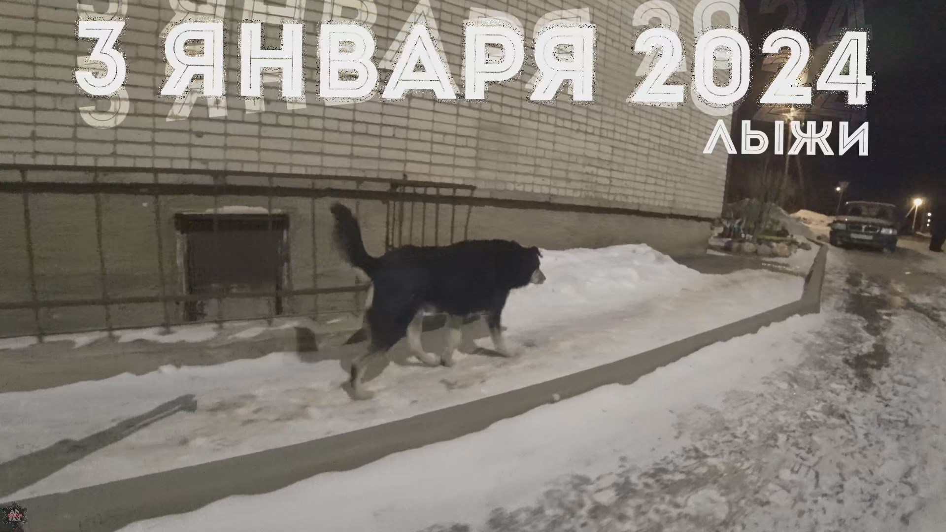 ANUF_LIFE_Лыжи_3.01.2024