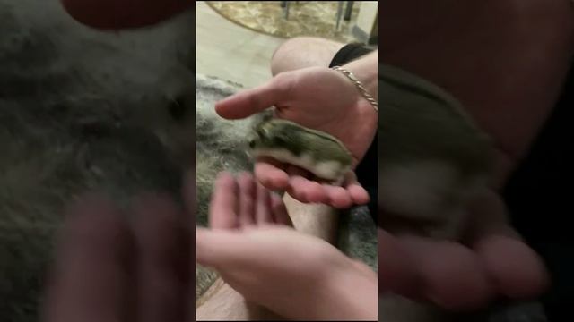 Да,быстрей ты,Руку подставляй!