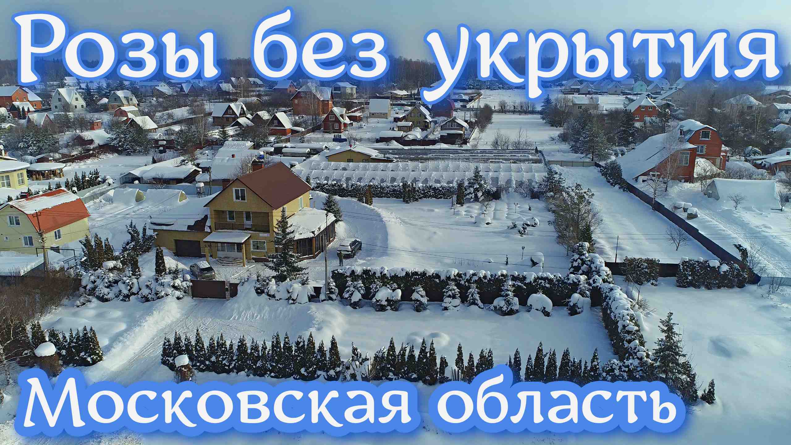 В ожидании весны!