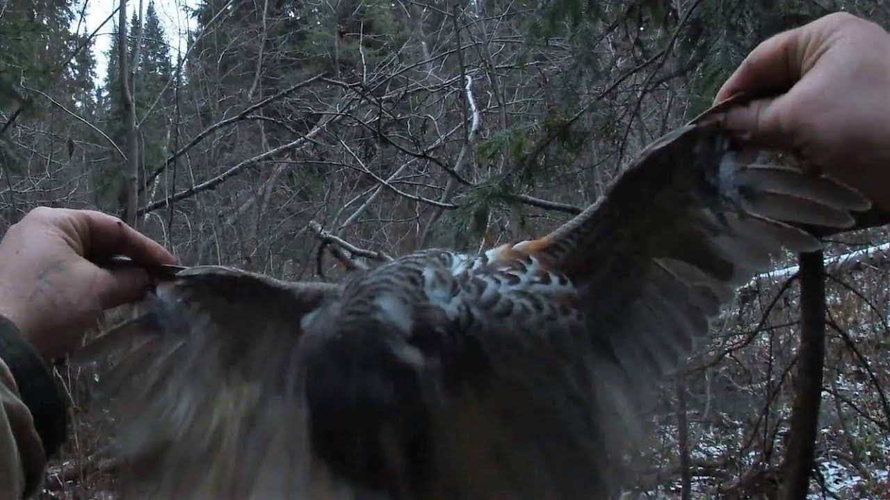 ОХОТА НА РЯБЧИКА \ НЕ ТАК ВСЁ ПРОСТО \ ПОПРОБУЙ НАЙТИ