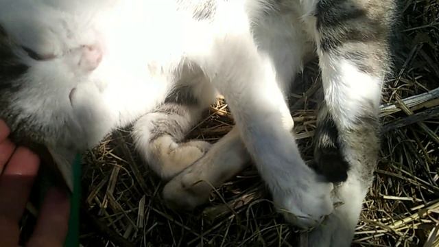 Душа на солнышке греется а мокрые места переходим аккуратно ??