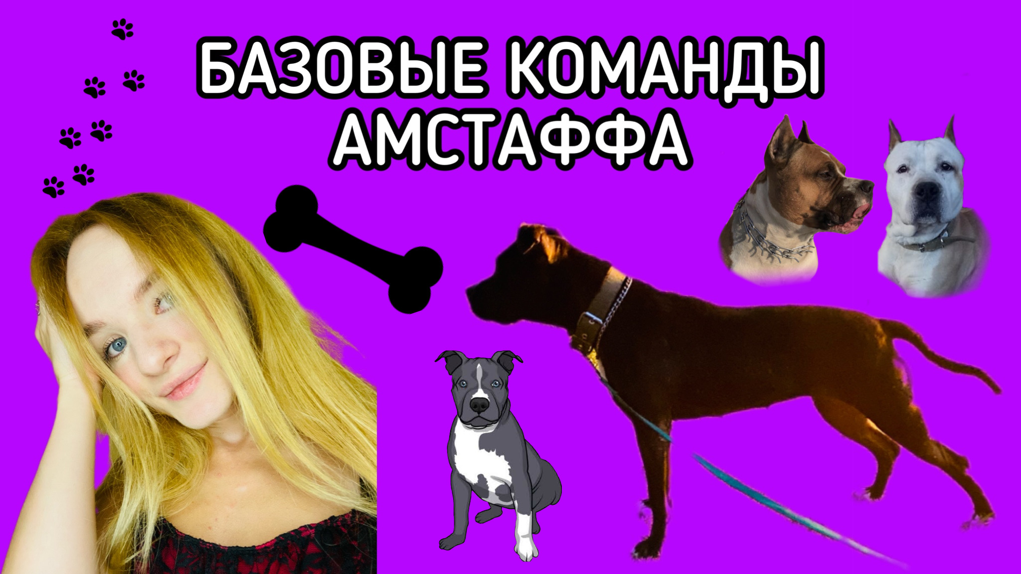 БАЗОВЫЕ КОМАНДЫ АМСТАФФА