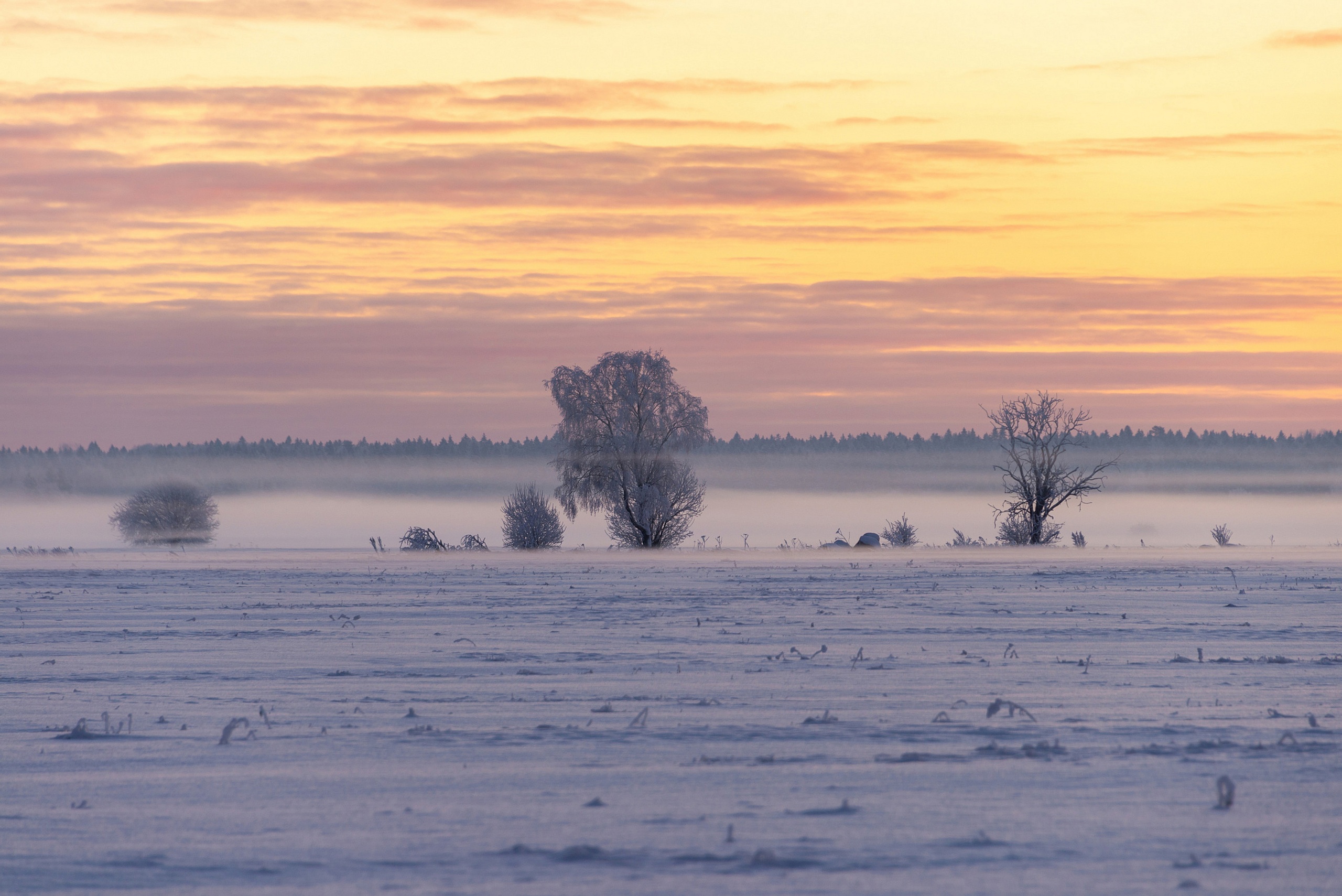 "СТЕПЬ ДА СТЕПЬ КРУГОМ"... (Фото Вячеслава Зайцева (Волосово) - Поёт Иван Ребров)
