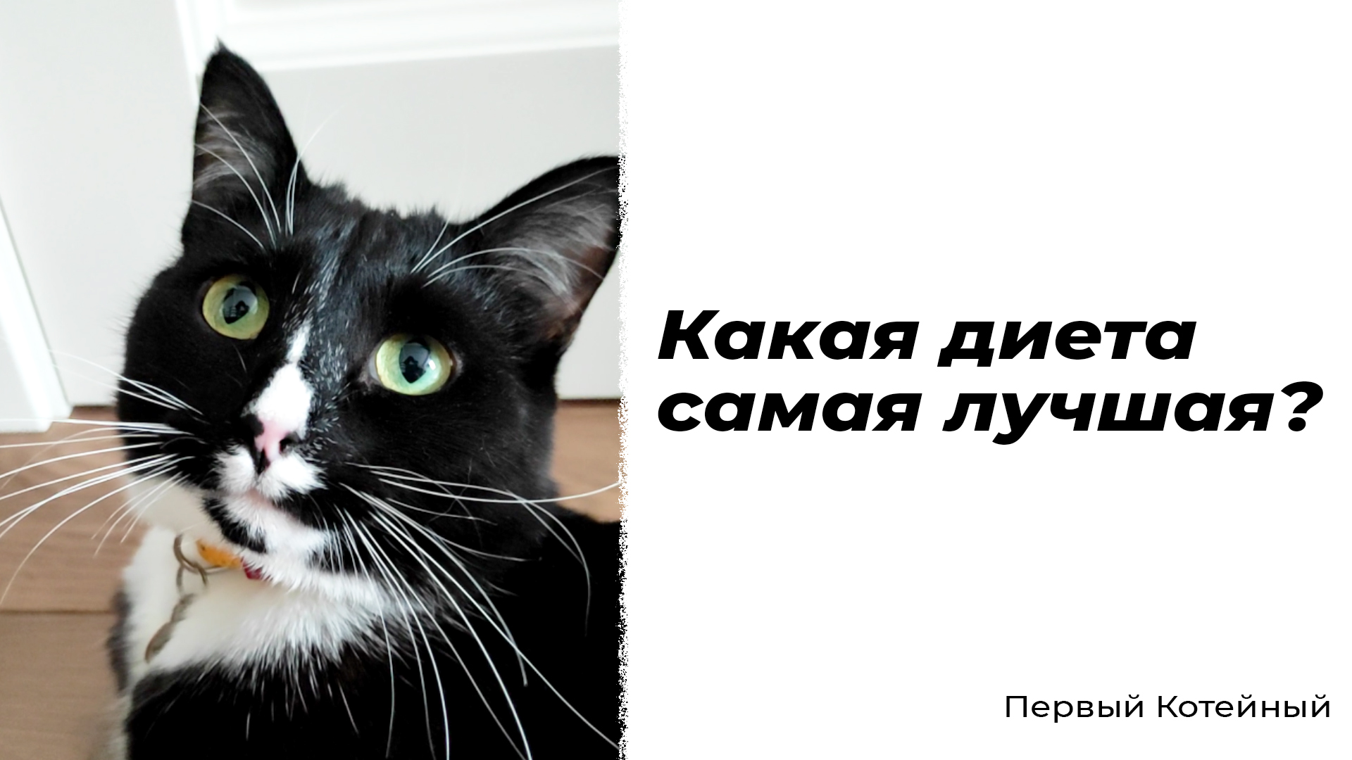 Какая диета самая лучшая? ?