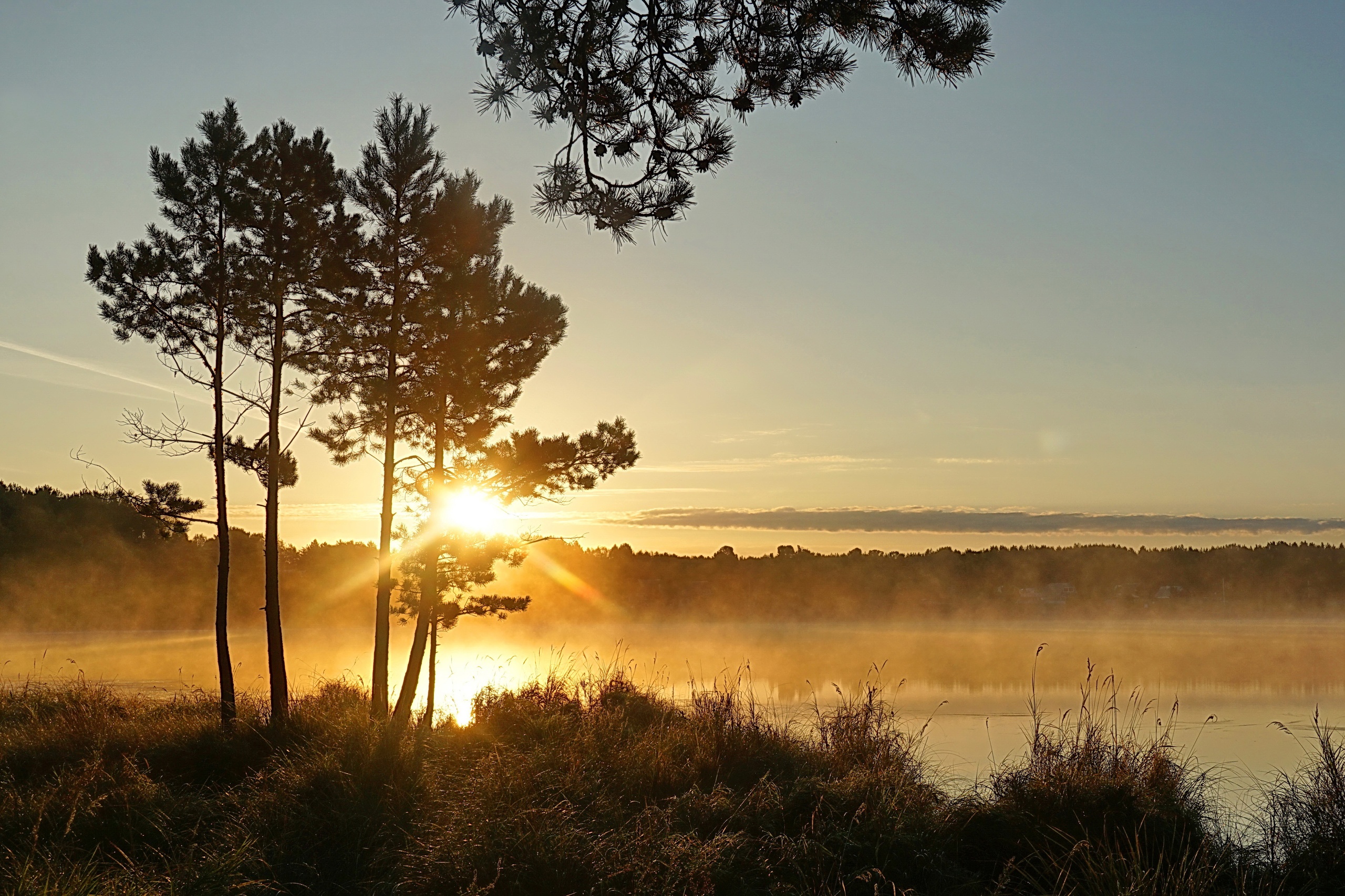 "ОСЕННИЙ ЭТЮД ИЗ ТОМСКА"... (Фото Г. Кан (Томск), музыка Кристины Буджиашвили)