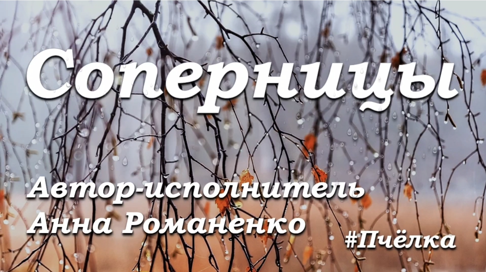 Песня "Соперницы" . Исполняет автор.