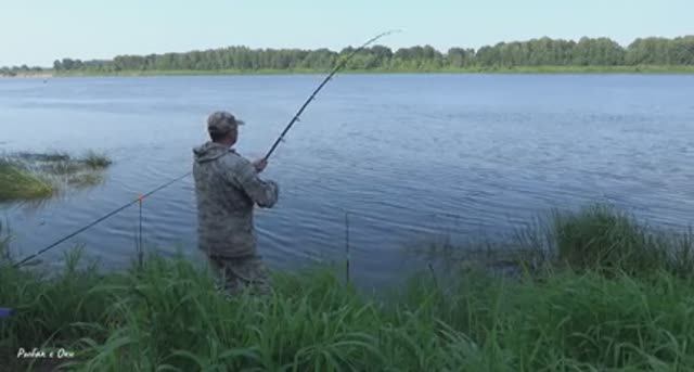 Как ПО-ПРОСТОМУ Ловить Леща на Донки! Рыбалка на Оке!