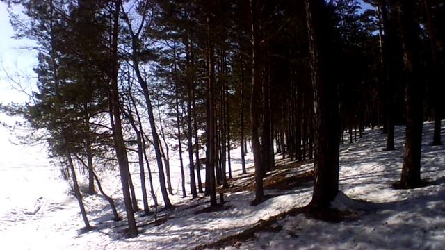 Чемской бор и Обское море, ВОДОХРАНИЛИЩЕ.