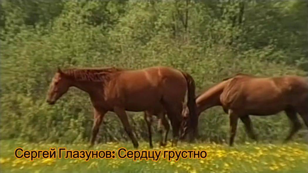 Сердцу грустно- Сергей Глазунов (музыка  Сергей Глазунов, слова Катенька Смоленская) (2024)