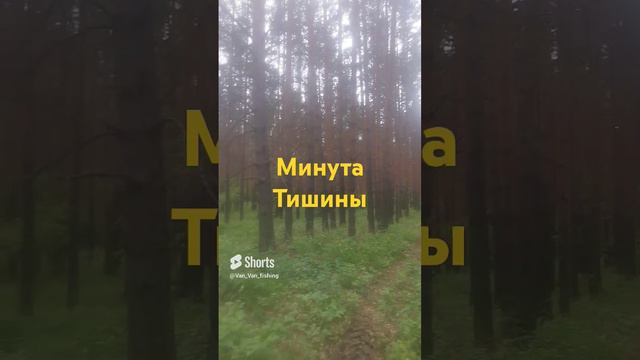 Минута тишины