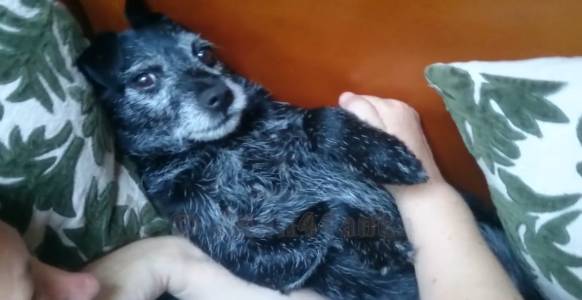 Весёлый и добрый мальчик Пепе...